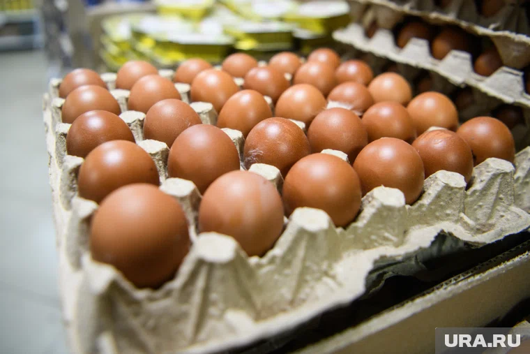 «Пышминская» в два раза уступает по выручке своему прямому конкуренту - Боровской птицефабрике