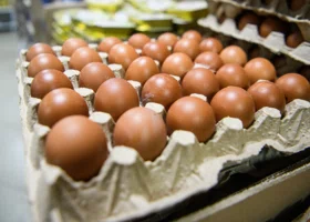 Птицефабрика тюменского олигарха вошла в федеральный топ по выручке