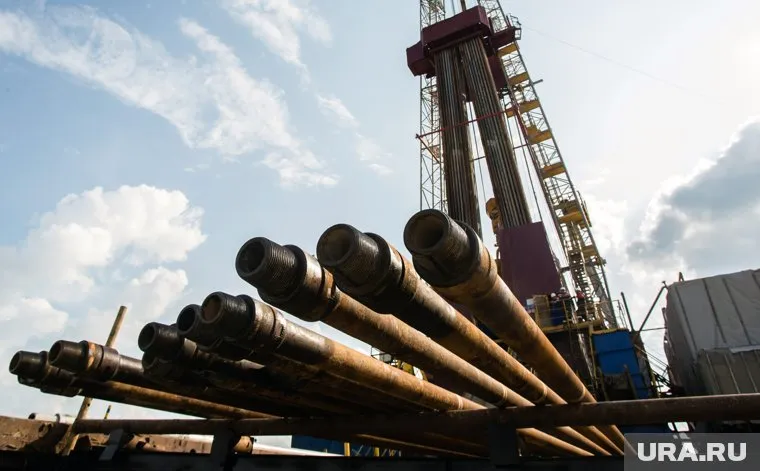 Выручка предприятия составила более 2,6 млрд рублей (архивное фото)