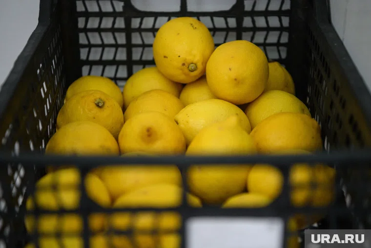 Продукция прошла лабораторные исследования