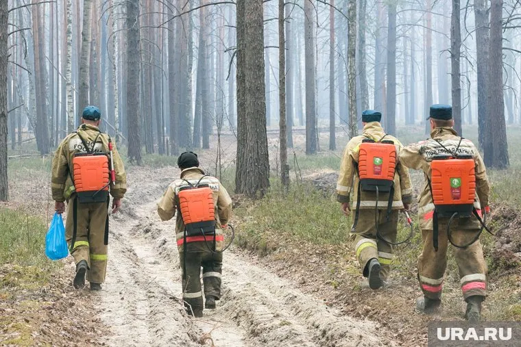 Противопожарный десант из других регионов отправлен домой