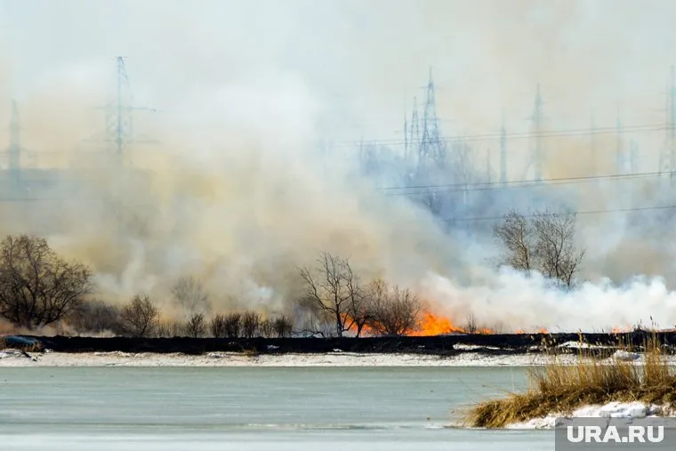 Горят трава и отходы лесозаготовки (архивное фото)