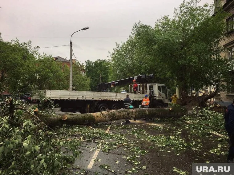 Штормовой ветер обрушится на Пермский край