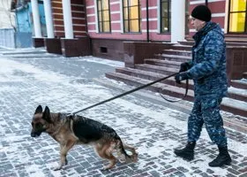 Фотография из галереи