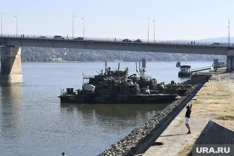НАТО не сможет помешать передвижению российских кораблей по Дунаю, сказал Стеван Гайич