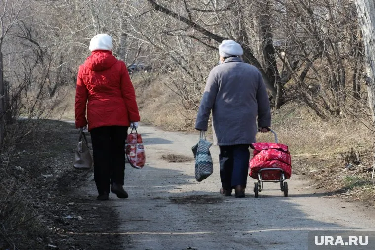 Садоводы переизбрали правление СНТ, но предыдущий председатель отказывается отдавать документы