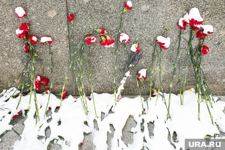 Александру Курляндскому было 82 года