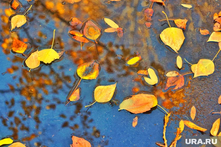 Небольшой дождь может пройти в Кургане 1 октября