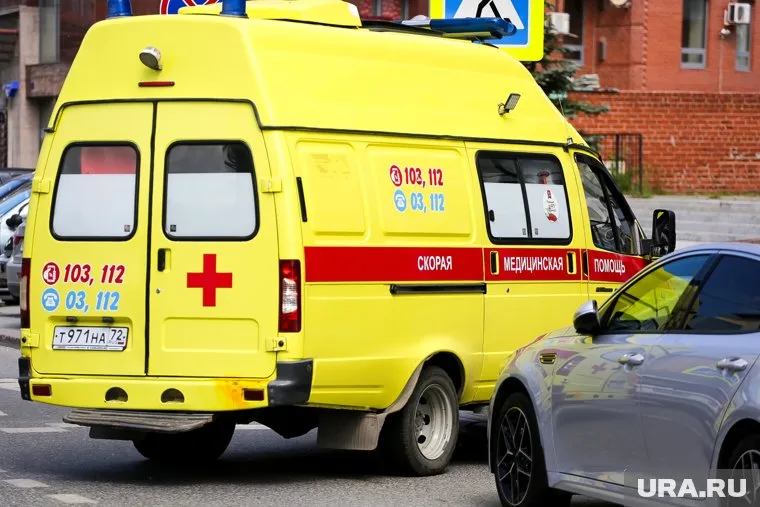 Курские чиновники призывают граждан не поддаваться панике