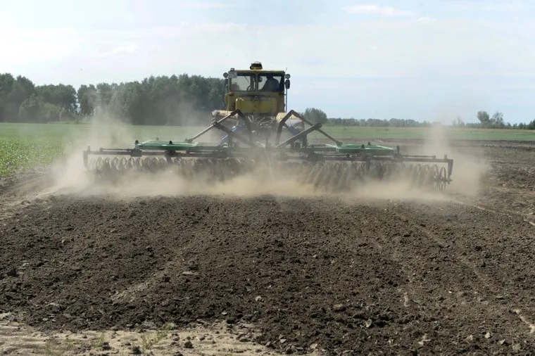 Сельское хозяйство, сельхозпереработка. Пермь