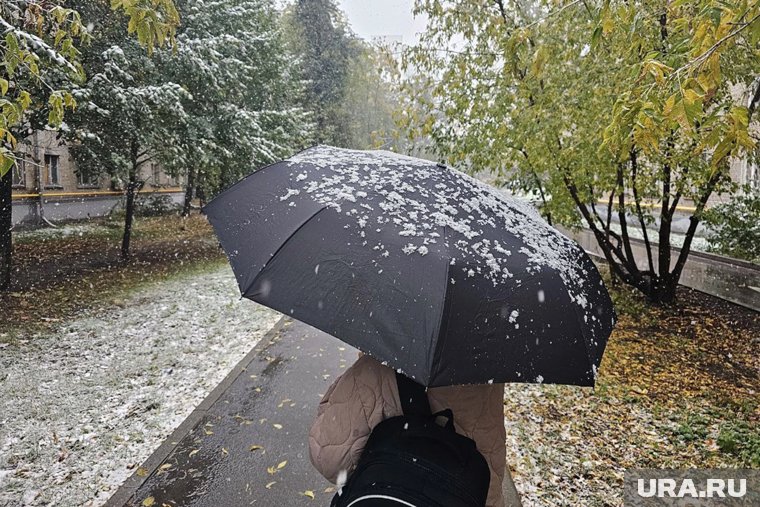 Снег и гололедица: синоптик рассказал о погоде в Москве и Петербурге в выходные