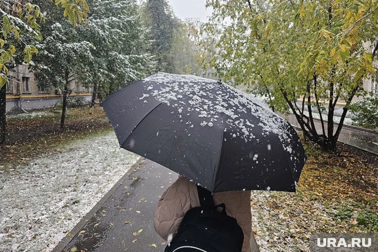 В Москве в выходные ожидается снег