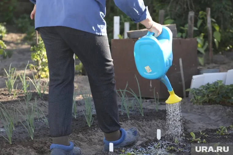 Дачники должны оплатить налоги на землю и имущество