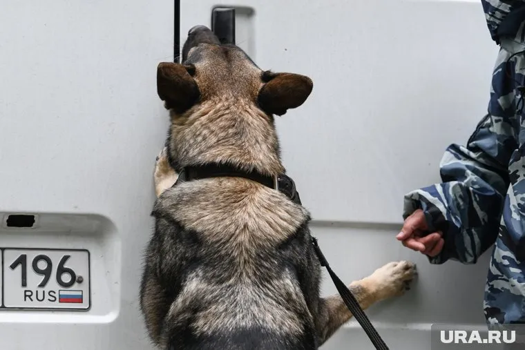 Мужчину задержали на трассе