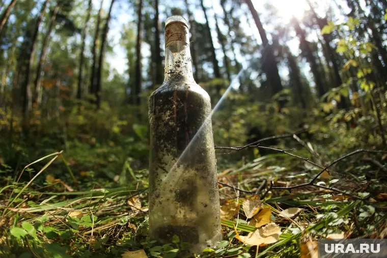 В парке лесоводов нашли бракованный сидр «Жизньмарта», который водитель не довез до станции утилизации