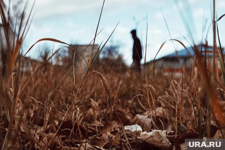 Депрессия осенью возникает из-за постепенного сокращения светового дня