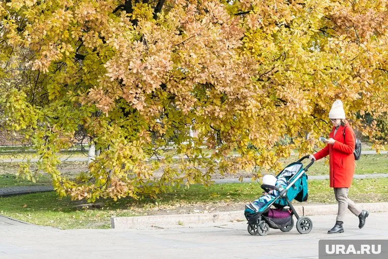В Тюмени с 10 по 14 октября погода будет варьироваться от +11 до +16 градусов