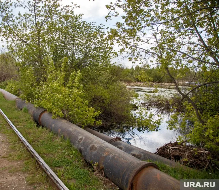 Нефтяная компания из ХМАО скрыла опасный трубопровод в лесу