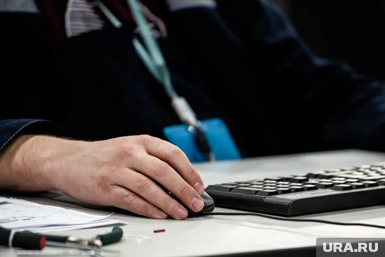 На удаленной работе находятся почти 3 млн россиян