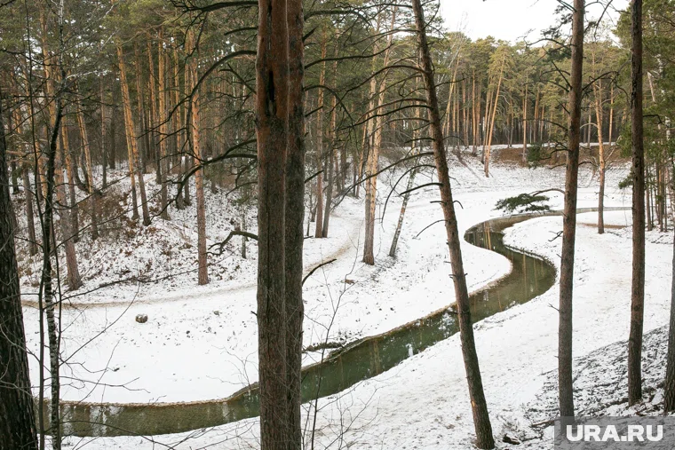 Ветер западный со скоростью 4-5 м/c