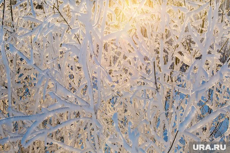 В Тюменской области похолодает до -30 градусов