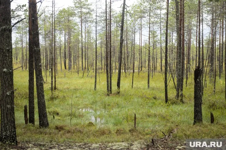 Парень ушел из дома 21 июля и пропал