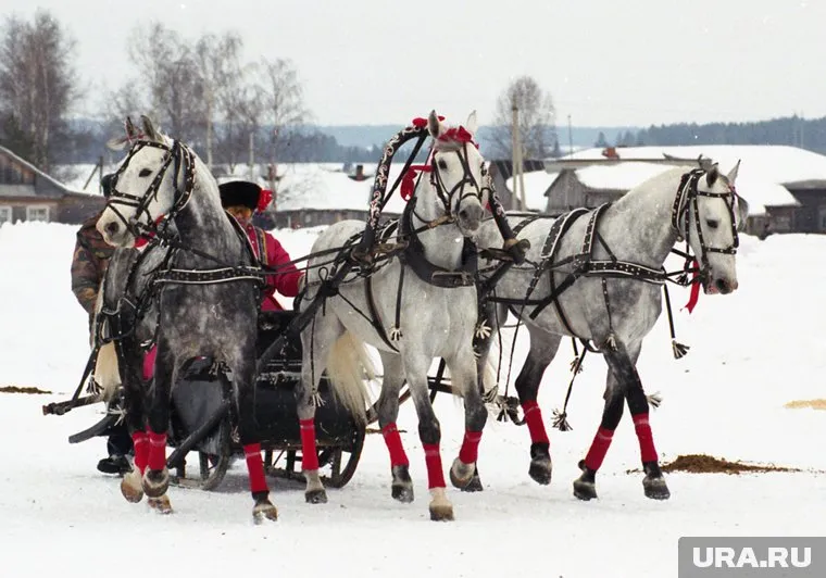 Сложно поверить, что песня про мороз и коня написана в середине 1950-х