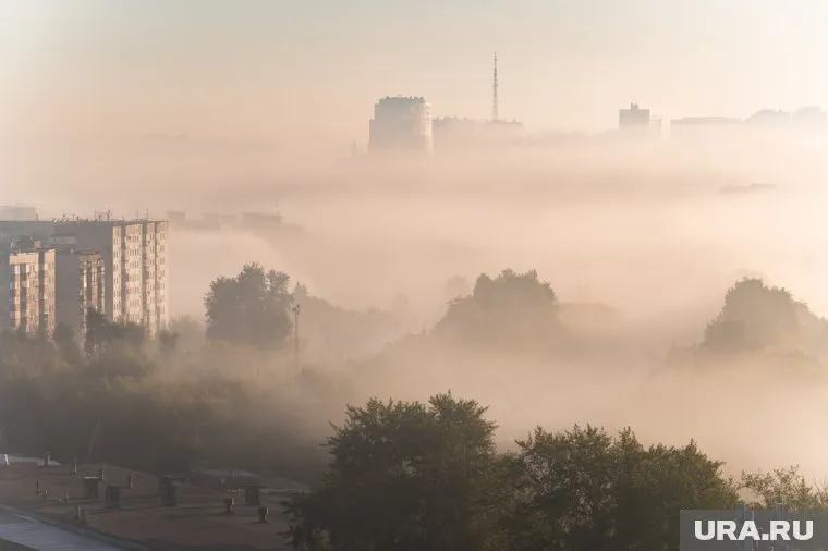 Туман прогнозируется ночью и утром 7 октября
