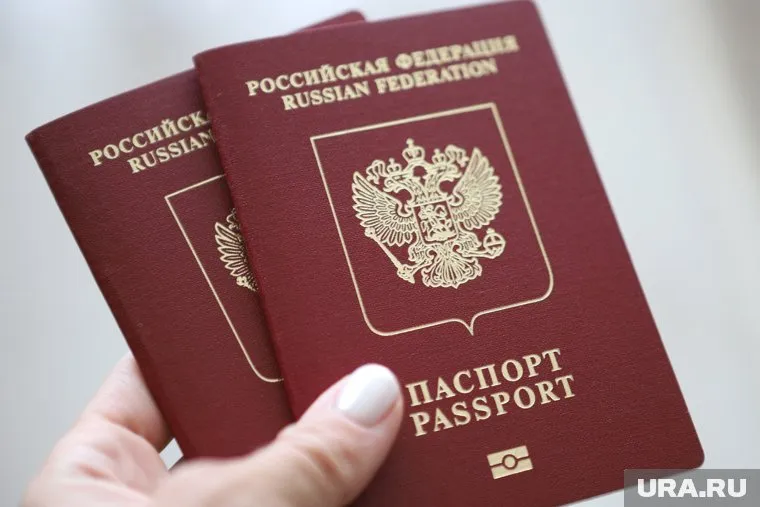 В полиции дадут оценку действиям служб после ситуации на погранконтроле в Кольцово