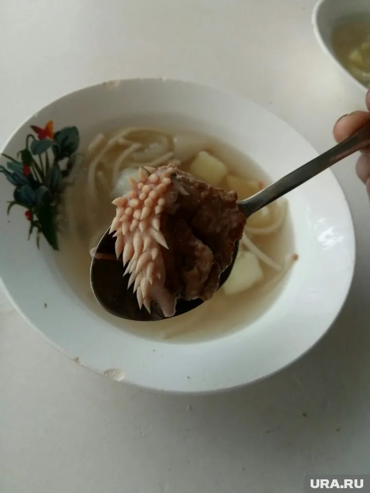 Школьники не жаловались на обед, сообщили в школе