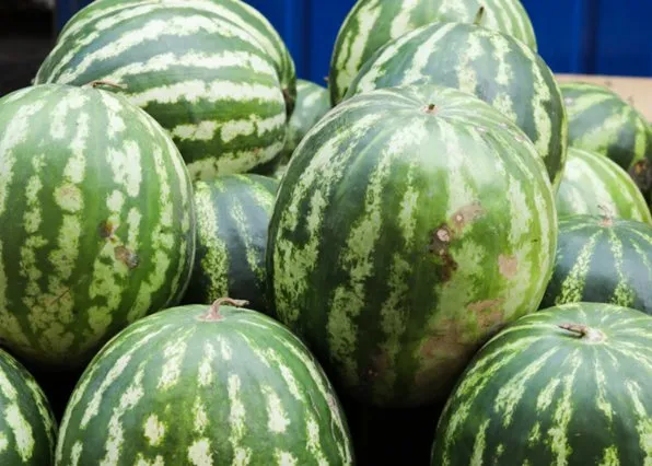 Фотография из галереи