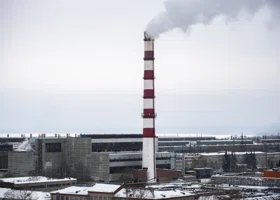 Фотография из галереи