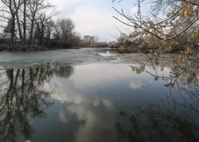В Подмосковье в канале нашли утопленное свадебное платье