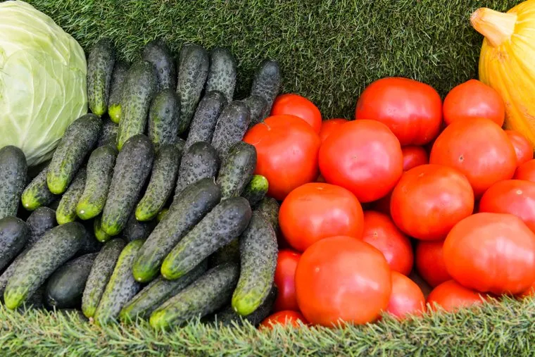 Алексей Текслер  на открытии XXIX ежегодной областной агропромышленной выставки «АГРО-2022». Челябинск 