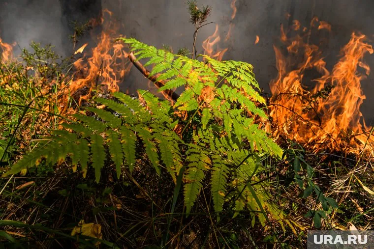 В тушении лесных пожаров в округе участвует 152 человека