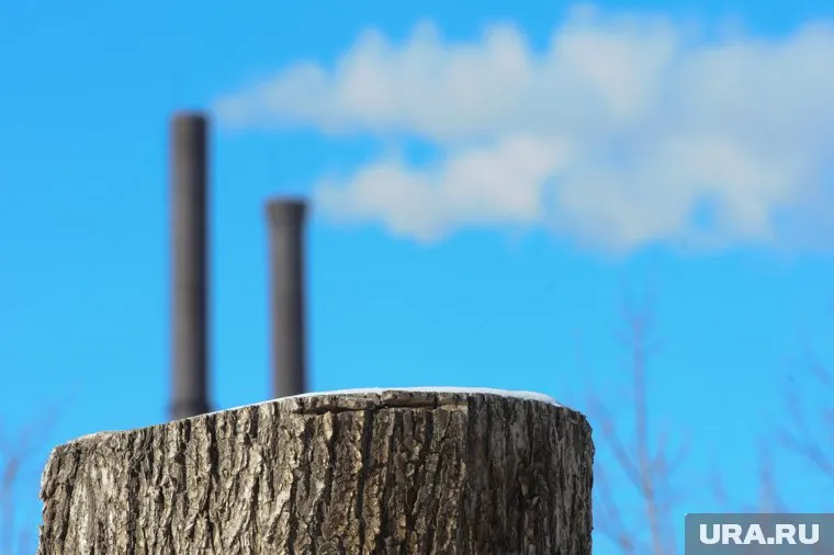 К 2080-м годам азиатская Россия будет иметь более мягкий климат