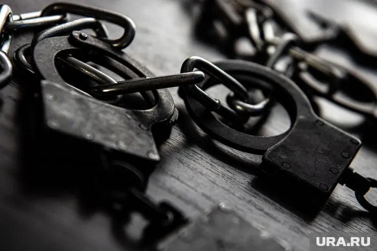 Александру Литрееву грозит до трех лет тюрьмы