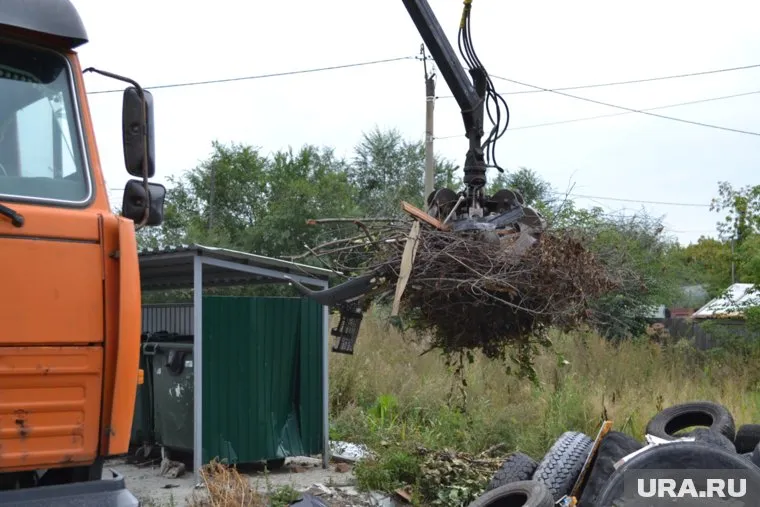 С 1 сентября размещение растительных отходов рядом с контейнерами будет приравниваться к созданию несанкционированной свалки
