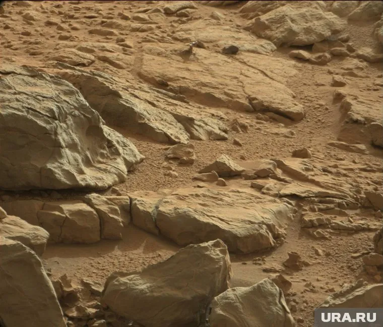 Марсоход Curiosity заснял необычные окаменелости