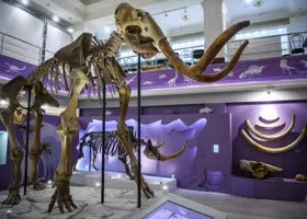 Почему билет на «Ночь музеев» в Салехарде стоит 1000 рублей