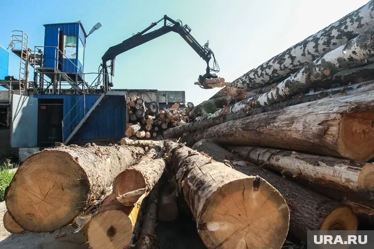 За последние годы ДОК "Красный октябрь" получил из областного бюджета субсидий почти столько же, сколько заплатил налогов