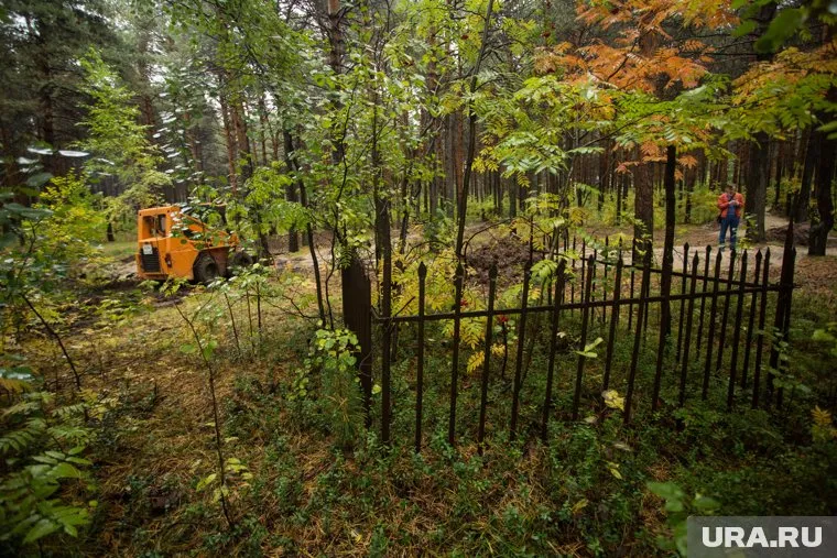 Житель Сургута получил 10 лет за убийство на кладбище