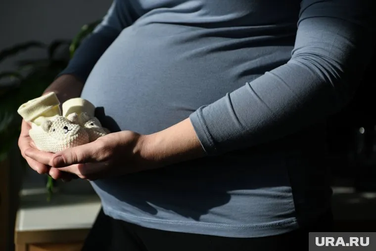 Беременные студентки будут получать пособие в размере прожиточного минимума 