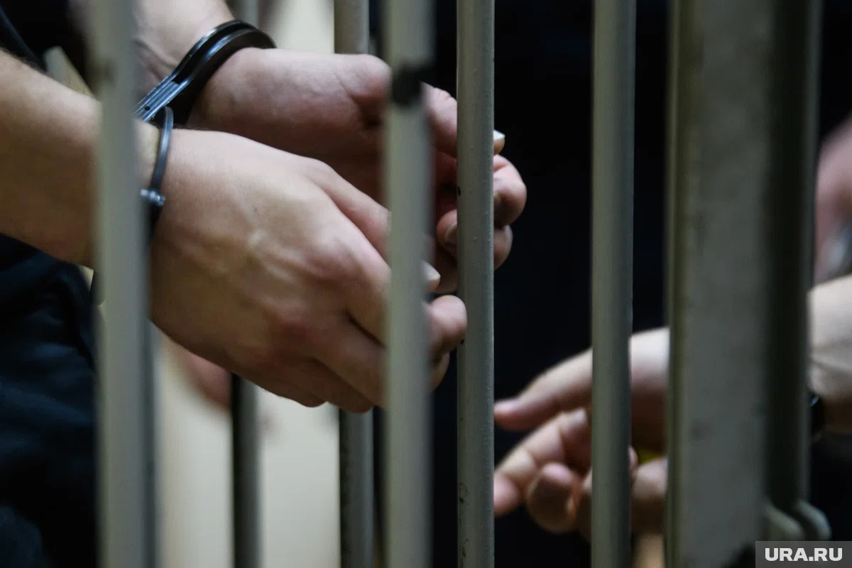 Мошенники убеждали бойцов СВО предоставить доступ к банковским счетам, заявила Волк