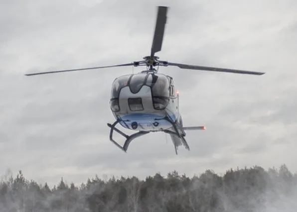 Фотография из галереи