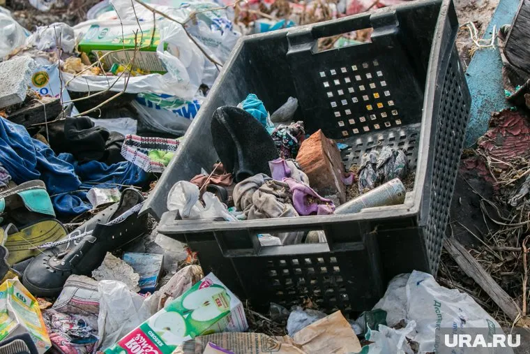 Жителям несколько недель приходится бросать мусор на землю — больше просто некуда