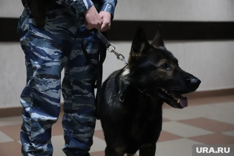 Полиция нашла у надымчанки наркотики (архивное фото)