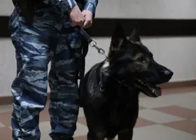 Жительница ЯНАО отделалась небольшим штрафом за хранение наркотиков