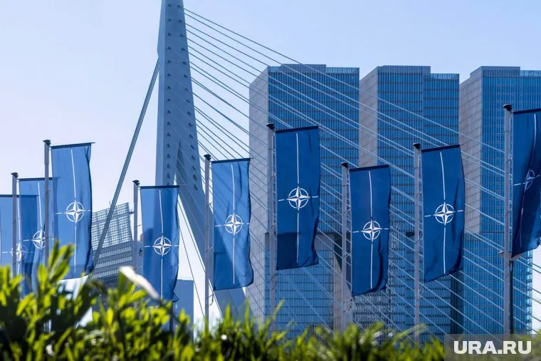 Стиан Йенсен заявил, что Украина может отказаться от части территорий взаимен на членство НАТО