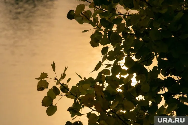 Холодная погода связана с хорошо выраженным затоком холодных воздушных масс